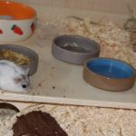 Mehrkammerhaus im Betrieb Mehrkammerhaus im Betrieb