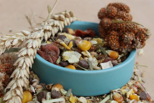 Trockenfutter für den Hamster