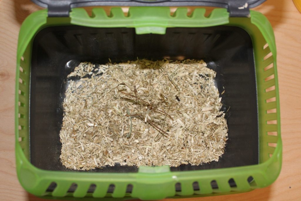 Rest der Einstreu wieder in den Käfig geben