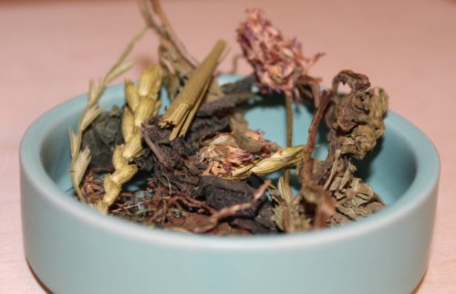 Kräuter und Gräser als Hamsterfutter