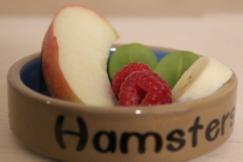 Obst als Hamsterfutter - nur kleine Portionen