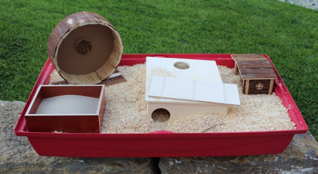 Sinnvolle Ausstattung des Hamsterkäfigs