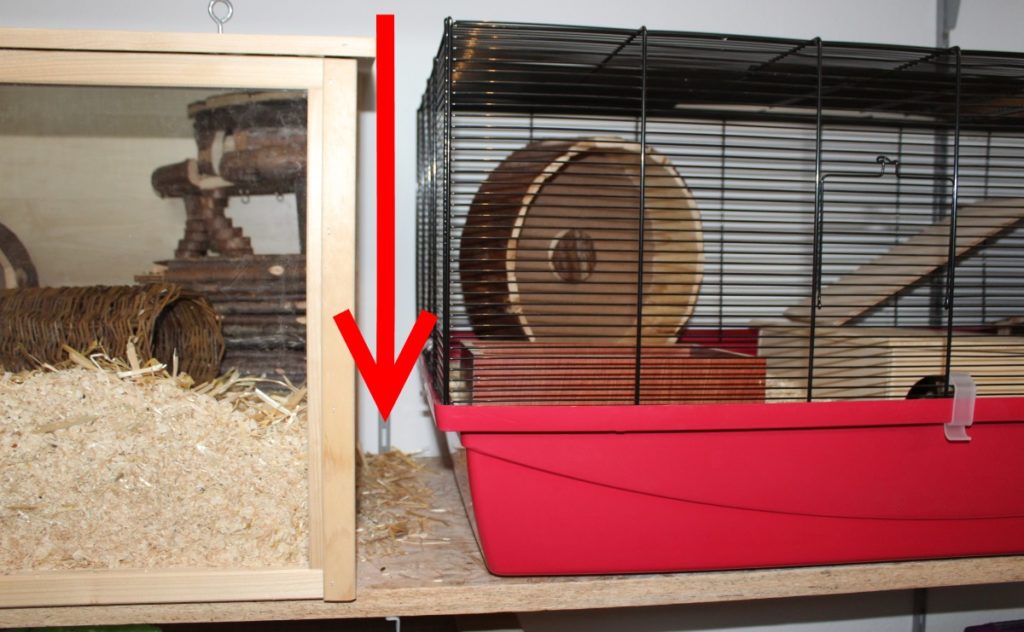 Streu neben dem Gitterkäfig