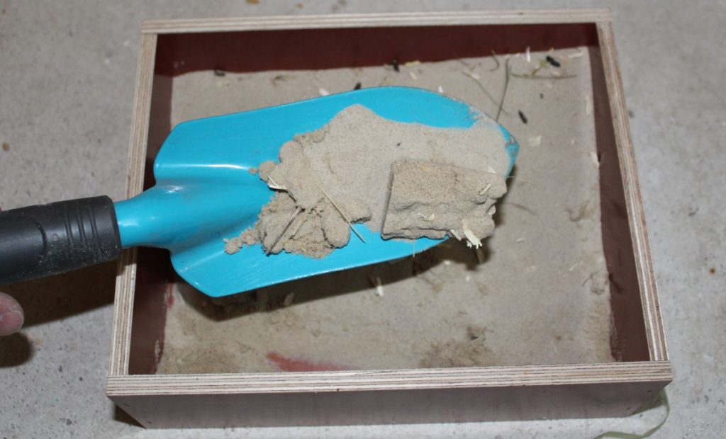 Hamstertoilette reinigen