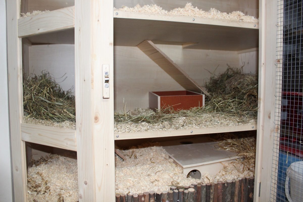 Artgerechter Hamsterkäfig