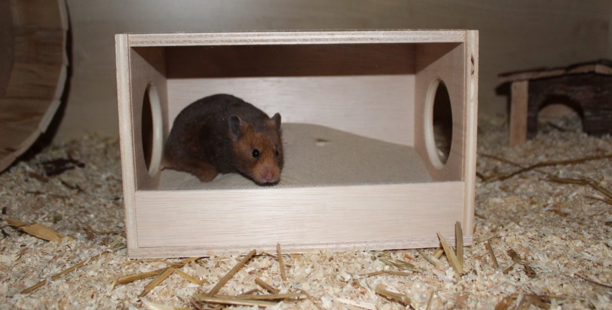 Sand Badehaus