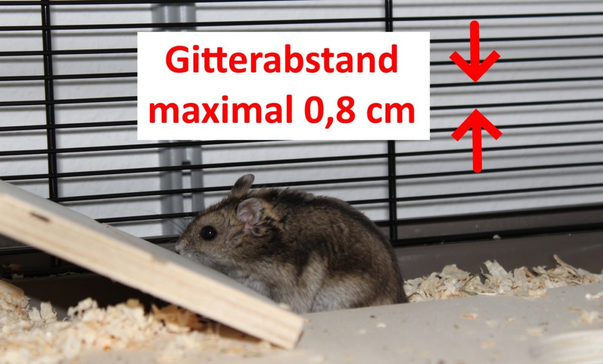 Gitterabstand beim Hamsterkäfig
