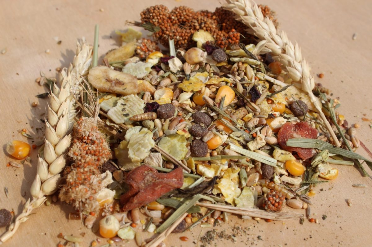 Hamsterfutter artgerecht