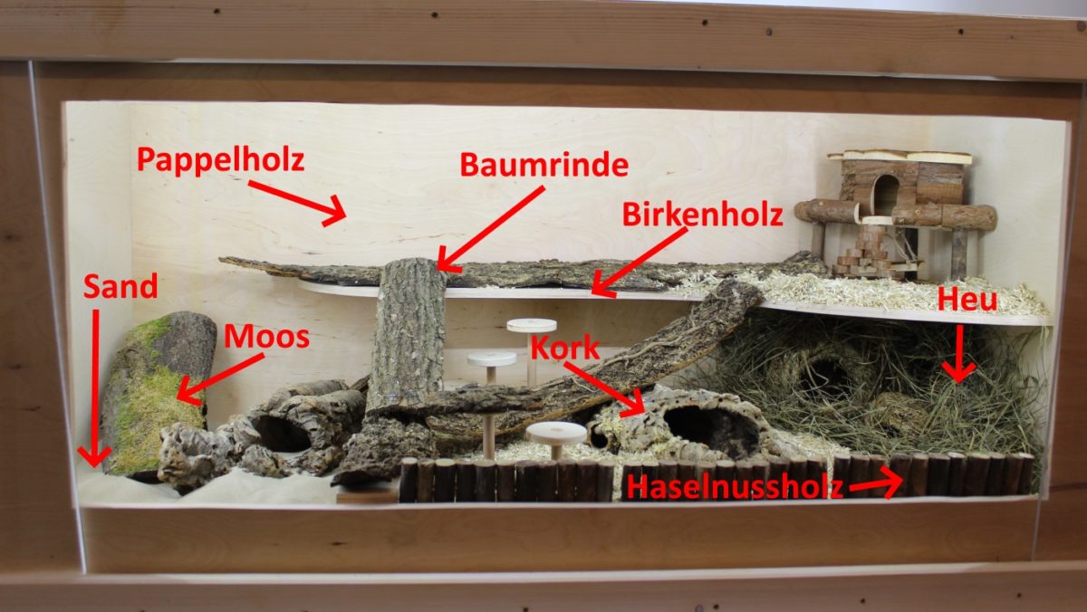 Naturmaterialien machen Hamsterkäfig artgerecht